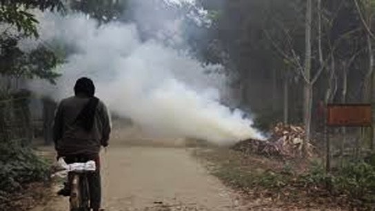 Cooch Behar beats Kalimpong in winter! How cold will it be in 7 days of cold?