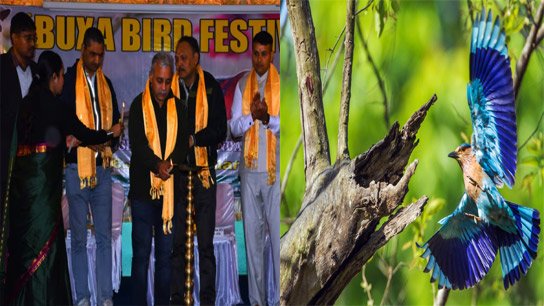 Buxa, a paradise for rare birds, is now home to a crowd of experts from home and abroad in the Jayanti forest