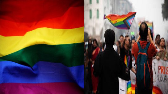 Today we will find out what LGBTQIA is