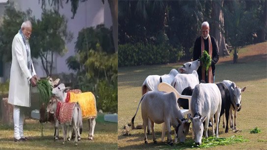 Modi also celebrated Makar Sankranti, in a slightly different way