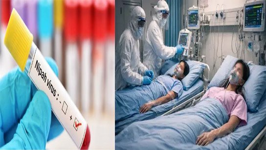 Nipah virus returns to bengal after 2001 authorities issue alert on consuming date palm sap