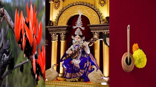 Worship the Mother at home without a priest