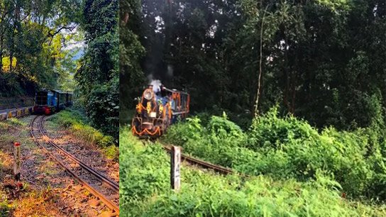 Toy Train Jungle Safari resumes in Siliguri after five years under PPP Model