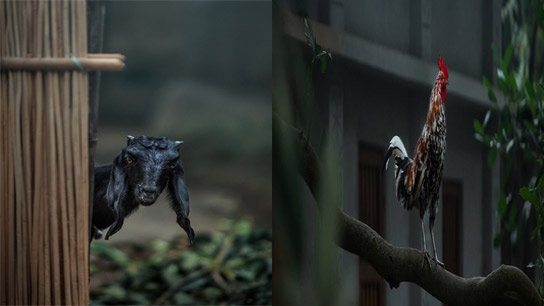 West Bengal Weather Update