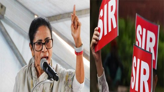 CM Mamata to visit Delhi with families of those killed in SIR incident