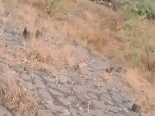 Maharashtra Deputy CM Ajit Pawar and several others on board dead after aircraft crashes in Baramati