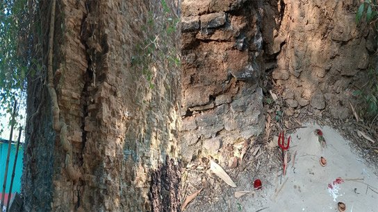 Devgram's Shiva Temple; A cry of lost history amidst the ruins