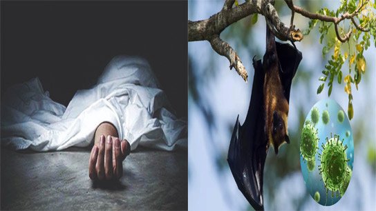 A sensation! First death due to Nipah in the state