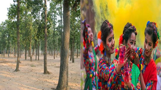 Tourists must be disappointed! Swings are closed at this place again