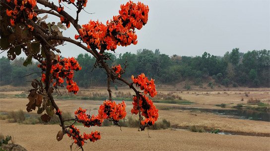 Weather Update in West Bengal