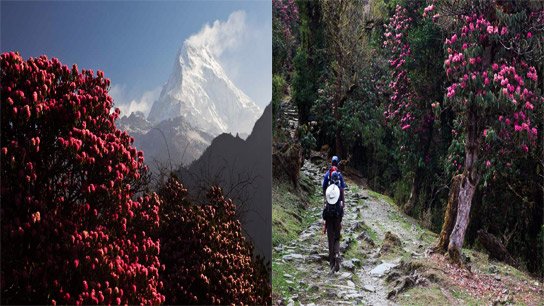 West Bengal Weather Update