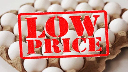 India's raw market also collapsed due to the war, egg prices plummeted; poultry industry faces losses