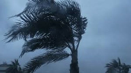 Kalbaishakhi Storm, 'Orange Alert' Issued for Heavy Rain and Gusty Winds—Which Districts Are at Risk