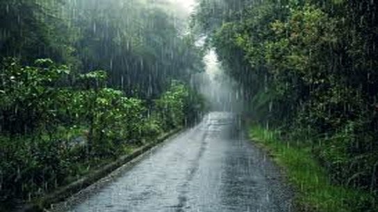 'Monsoon' in full spring! South Bengal will be wet