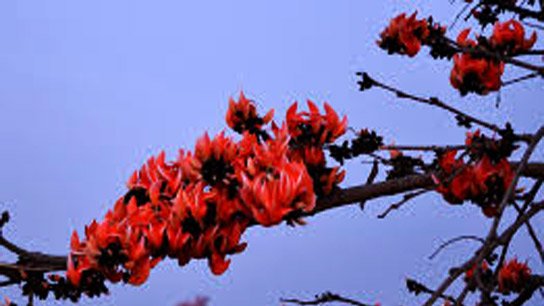 Partly cloudy; wet from north to south