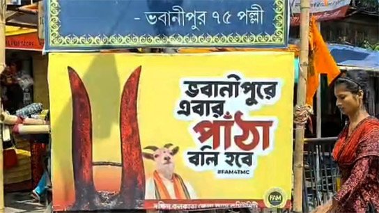 'This time there will be a goat sacrifice in Bhabanipur'! Whose face is on the pot?