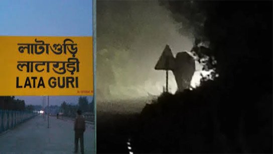 Elephant blocks Road in Lataguri