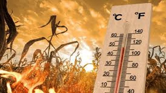 Temperatures are rising rapidly; 'Super El Nino' ​​begins in Bengal