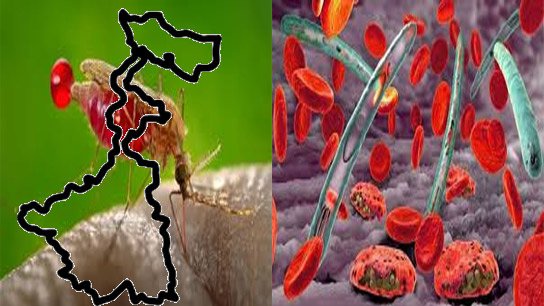 Malaria outbreak in the state! Why is there increased concern about the infection in the state?