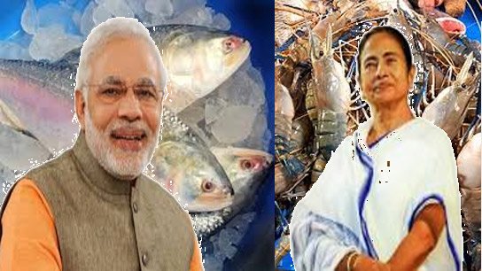 Hilsa and shrimp will go to Kalighat after the oath-taking ceremony tomorrow