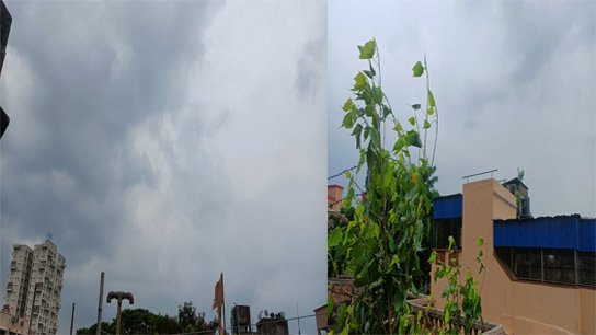 Some relief from the uncomfortable heat, Kolkata's sky is black, rain is coming
