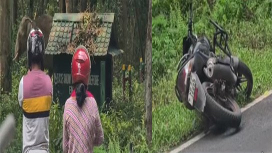 Elephant spotted on national highway; biker flees leaving everything behind