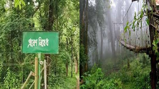 All forests of North Bengal, including Dooars, closed to tourists from today
