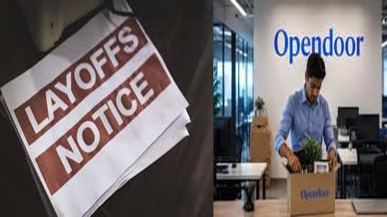 Opendoor fired 250 Indians, losing their jobs overnight