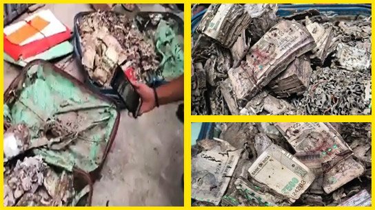 Huge amount of money stolen from box filled with termites recovered from Surendranath College's union room