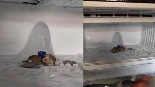 Amarnath appears in deep freezer! Entire neighborhood sees it