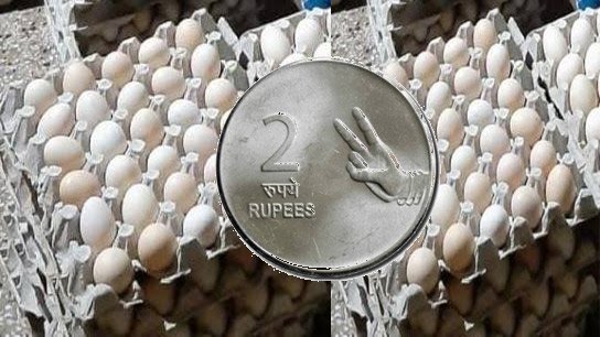 Eggs for just 2 taka! Long queue at Jalpaiguri government farm since morning