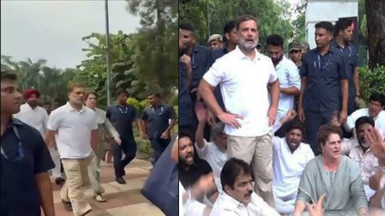 Rahul-Priyanka side with 'cockroaches', protest outside Modi's residence