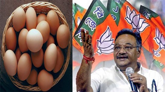 'Eggs will fall on our heads', warns workers
