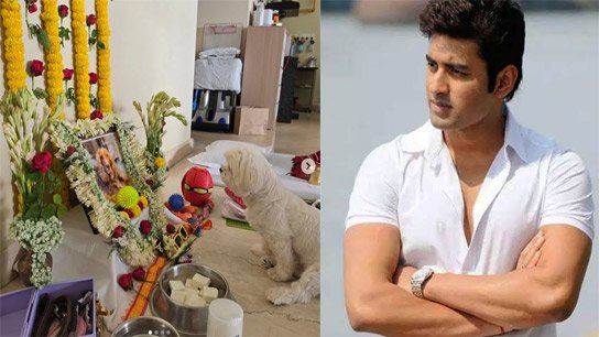 Ankush posts emotional message after posting pictures of beloved pet 'Babla''s funeral