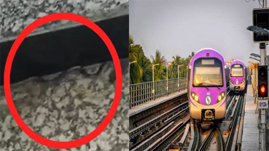Venomous snake at Esplanade Metro Station on Independence Day