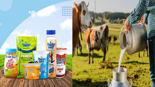 Investment of 250 crore rupees in Uluberia of Howrah by Thackeray Dairy