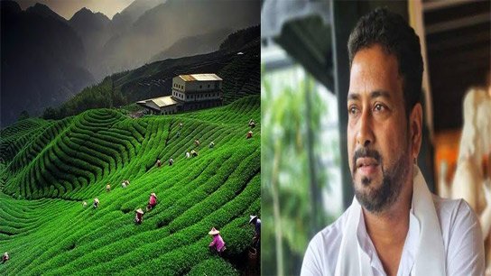 Scandal in the North; Money from the sale of tea garden land goes to Trinamool funds!