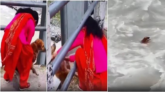 Video of dog being pushed into river in Nepal sparks outrage