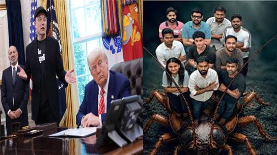 Cockroach Janta Party has 48 more days to live; CJP will be removed if Trump loses
