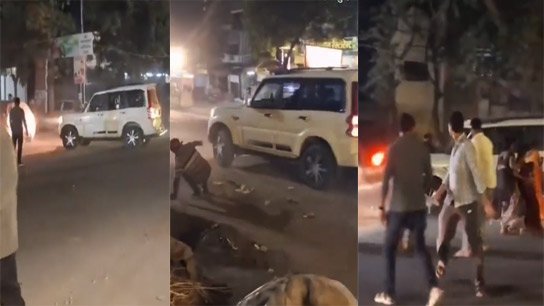 Scorpion attacks Durga Puja crowd, pedestrians in panic!