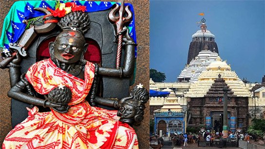 Puri's identity is not limited to the Jagannath culture alone; the ancient Sapta Matrika and Chamunda idols of Puri, which are part of the Shakta and Tantric traditions of Odisha, are also part of the city's identity